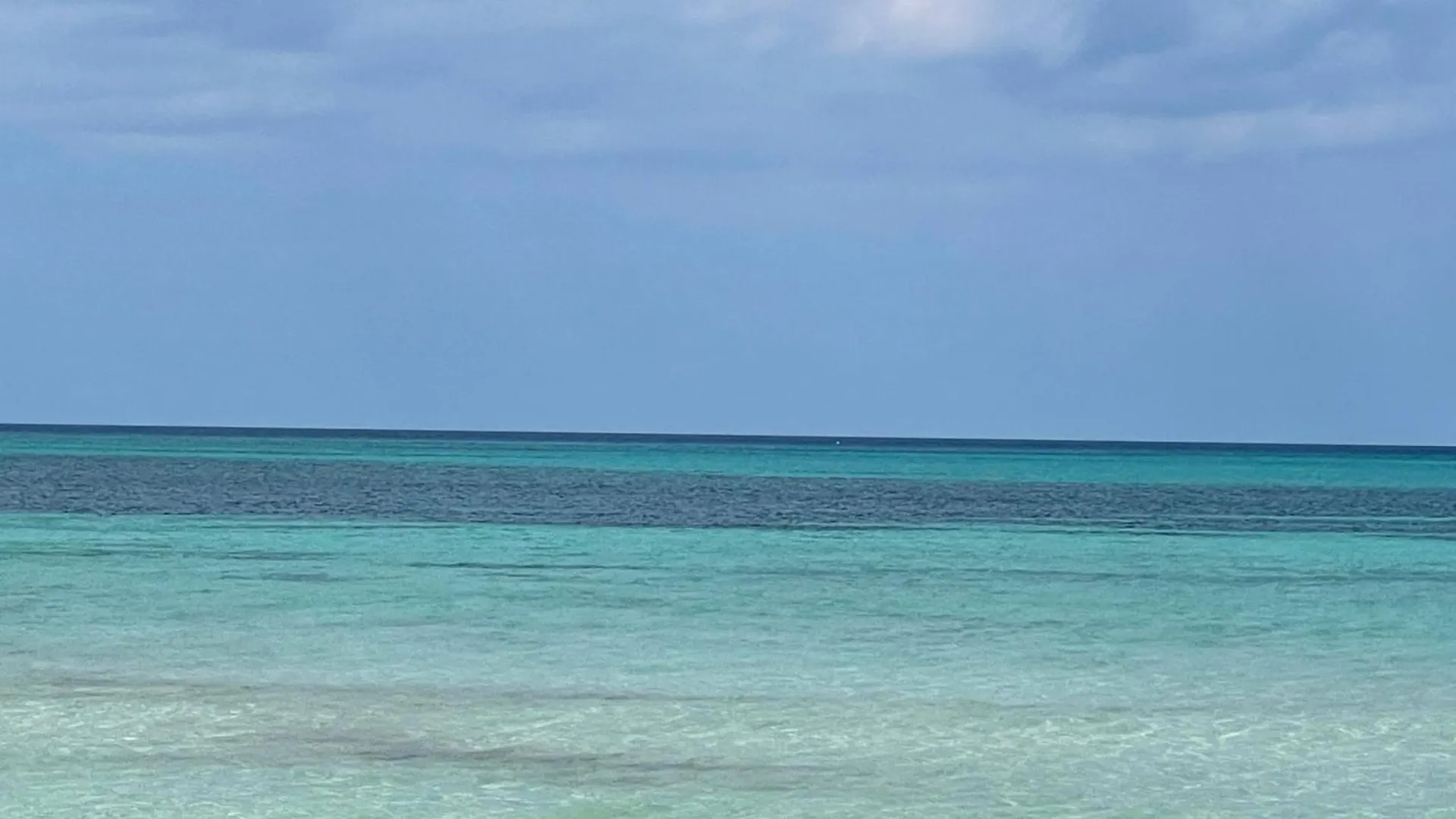 Jepel'S Escape Villa Florence Hall Jamaica